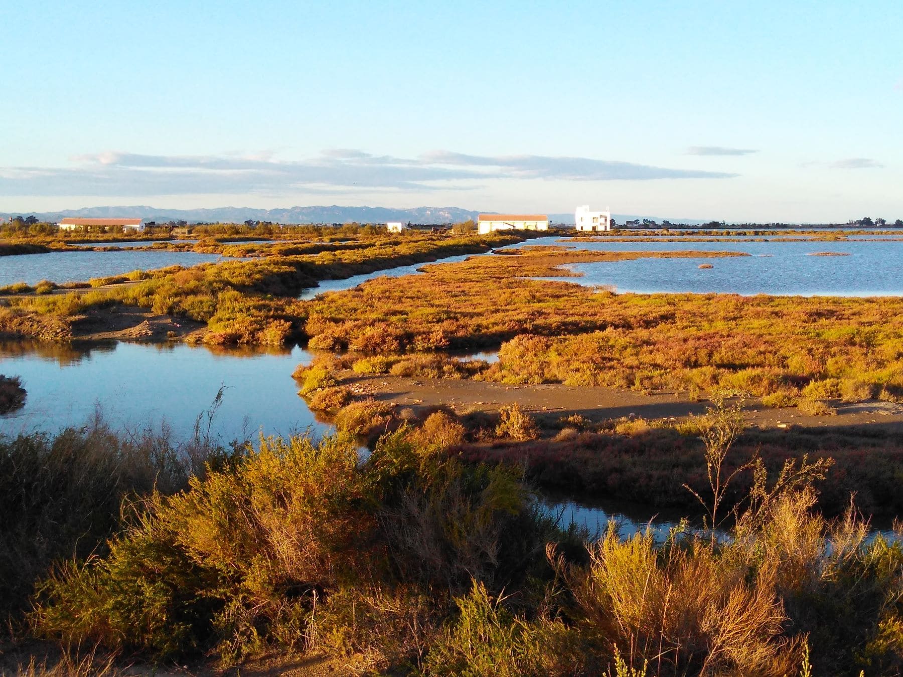 Nactiva Centro Resiliencia Climática regenerar Delta Ebre