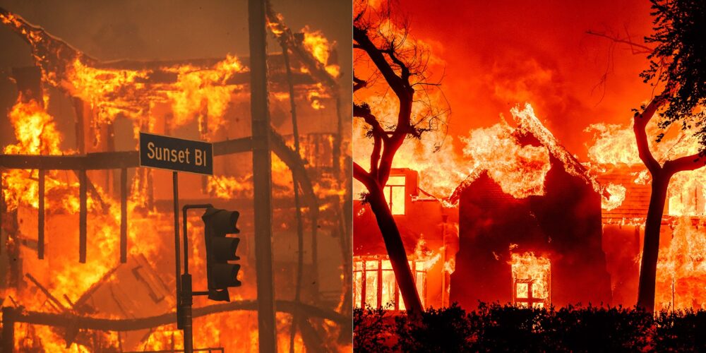 The Los Angeles fires: an unprecedented catastrophe