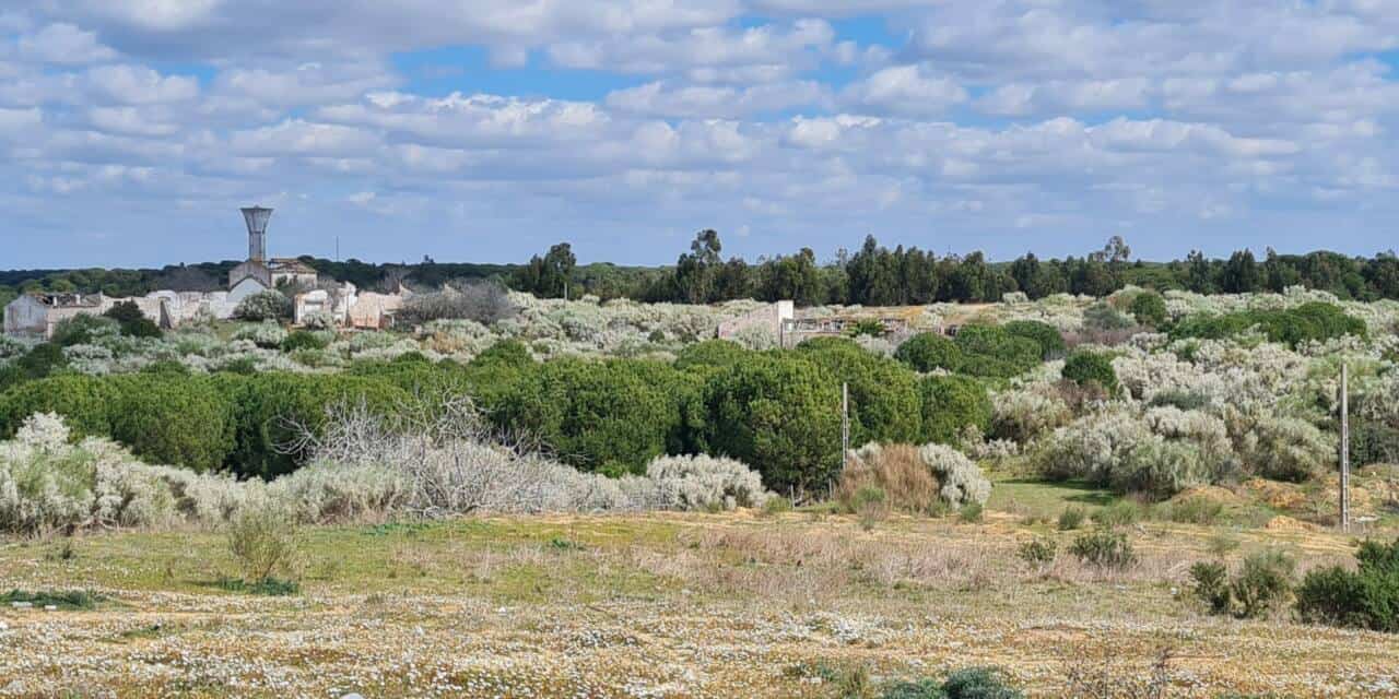 urbanización Rompido Este Huelva