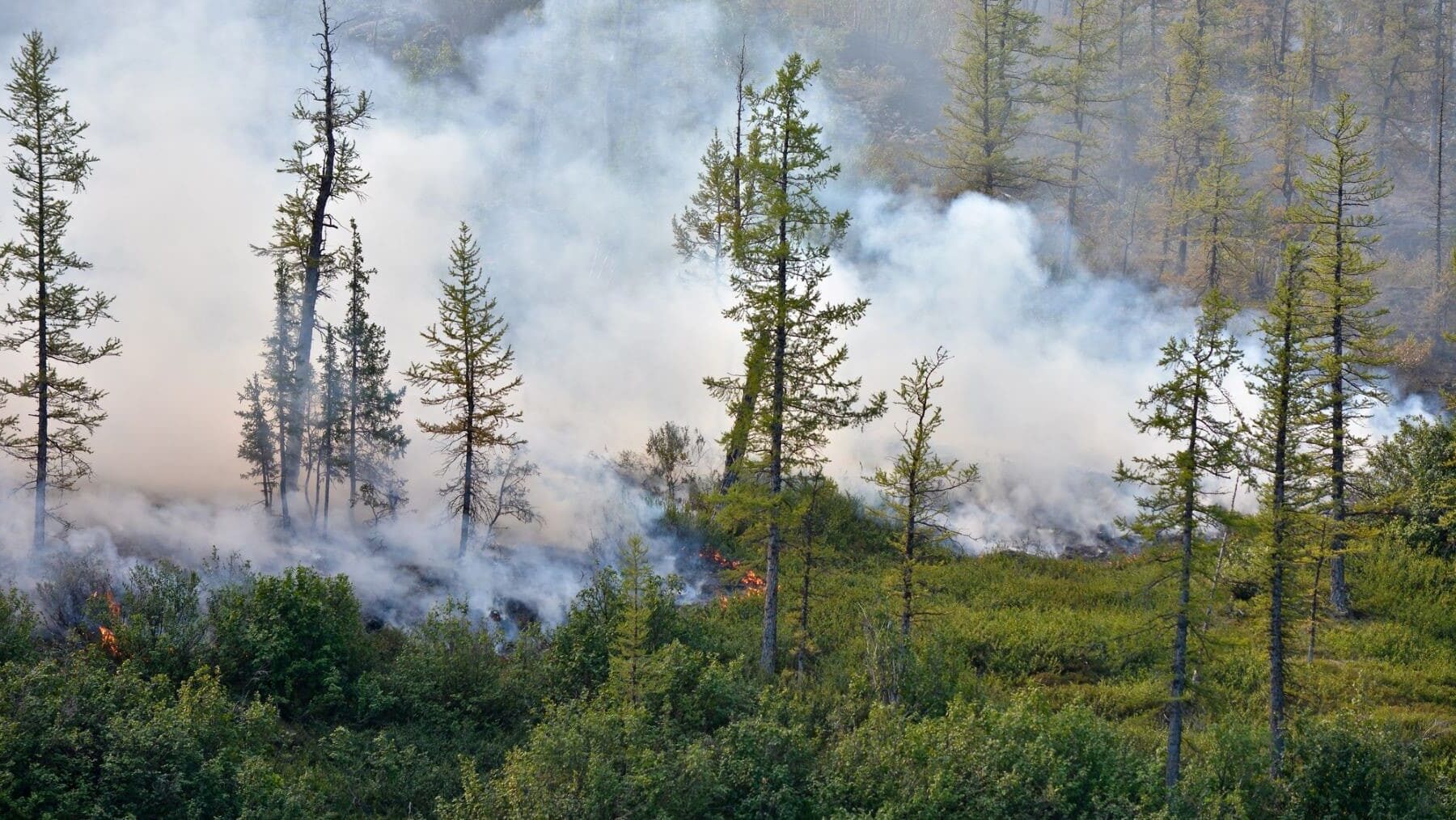 Cantabria Delegación Gobierno incendios forestales