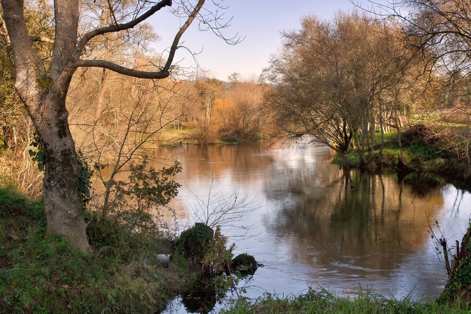 conservación restauración fluvial cuenca río Umia