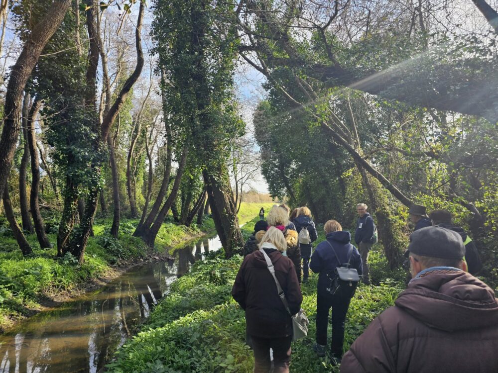 Discovering Lake Porta and Ronchi-Poveromo. Wet areas