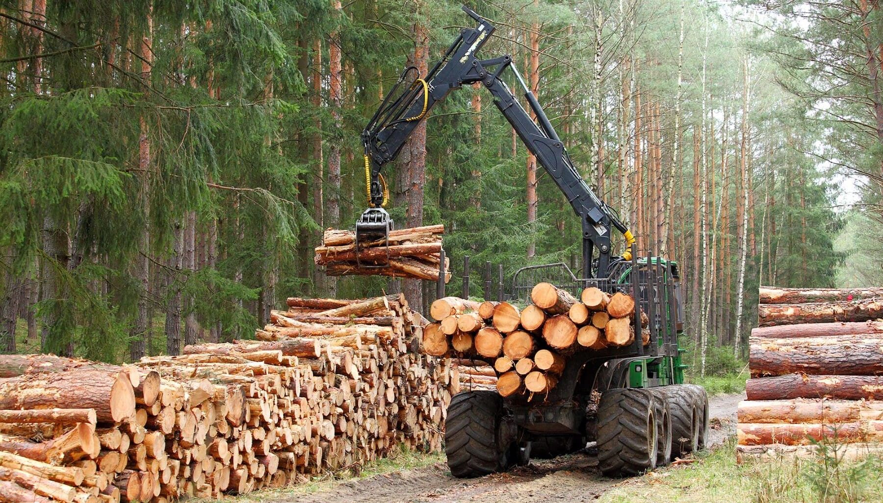 Reglamento UE Deforestación EUDR medio ambiente derechos humanos