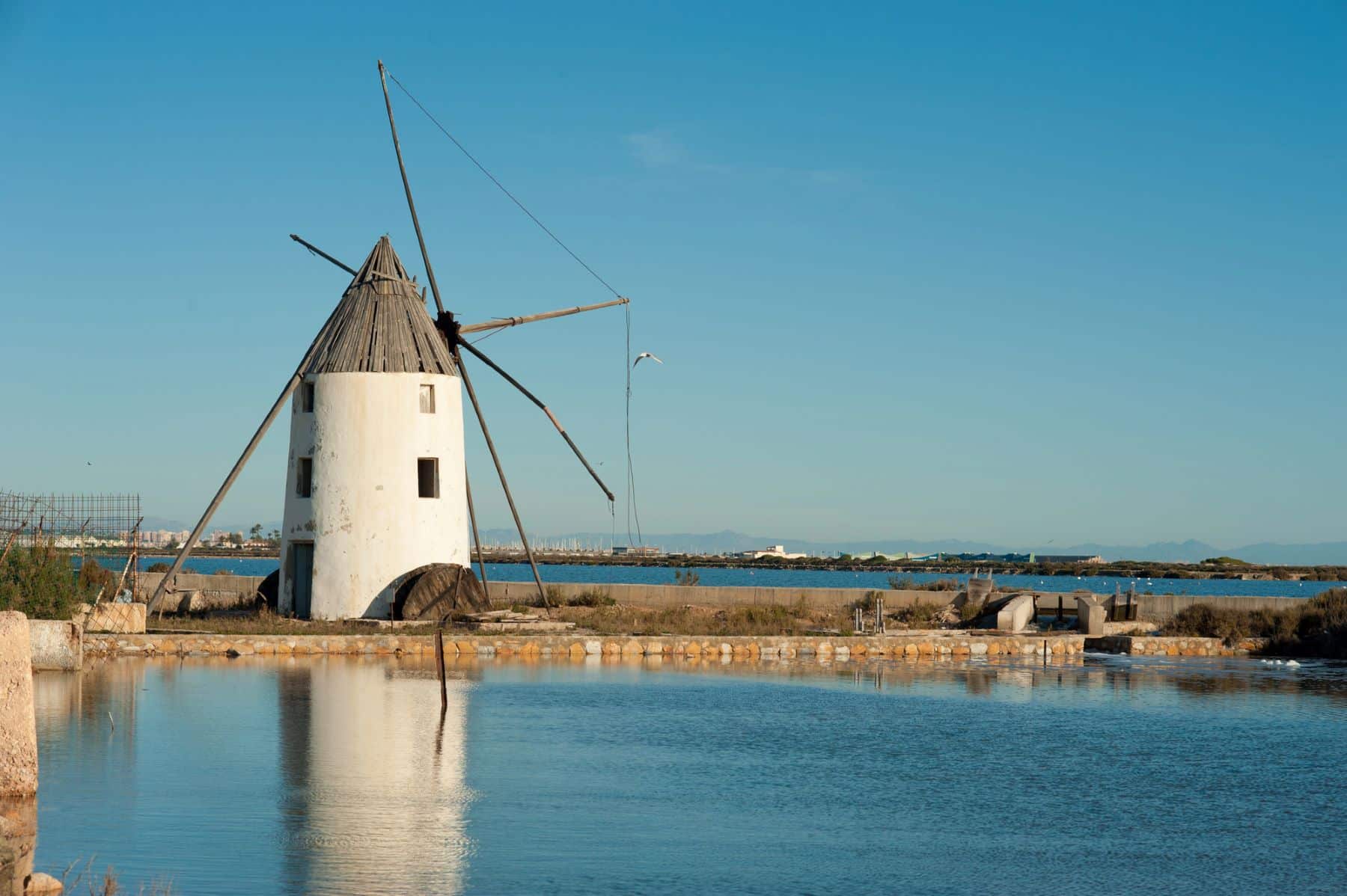 Murcia Consejo Mar Menor Comité Asesoramiento Científico