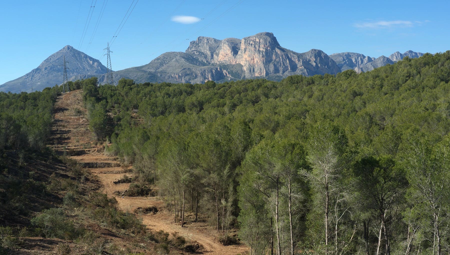 Comunidad Madrid limpieza desbroce montes prevenir incendios forestales