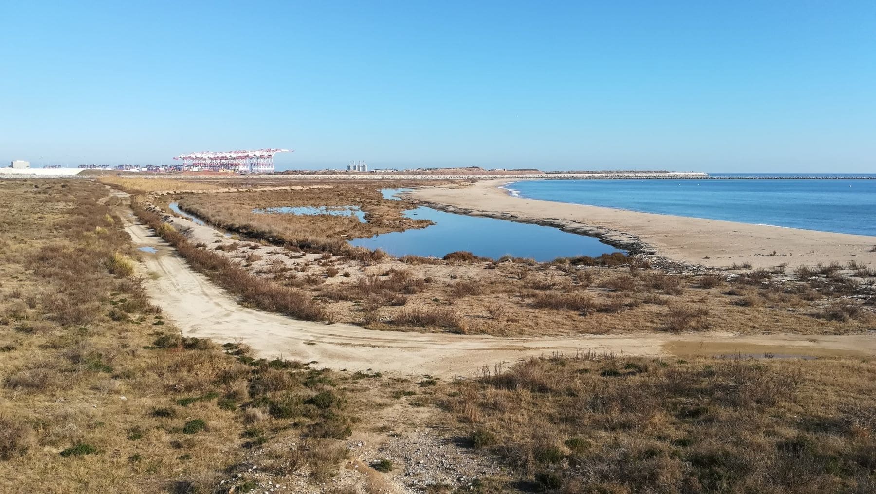 La ampliación de la’ ZEPA del Delta del Llobregat’ ya está ‘judicializada’