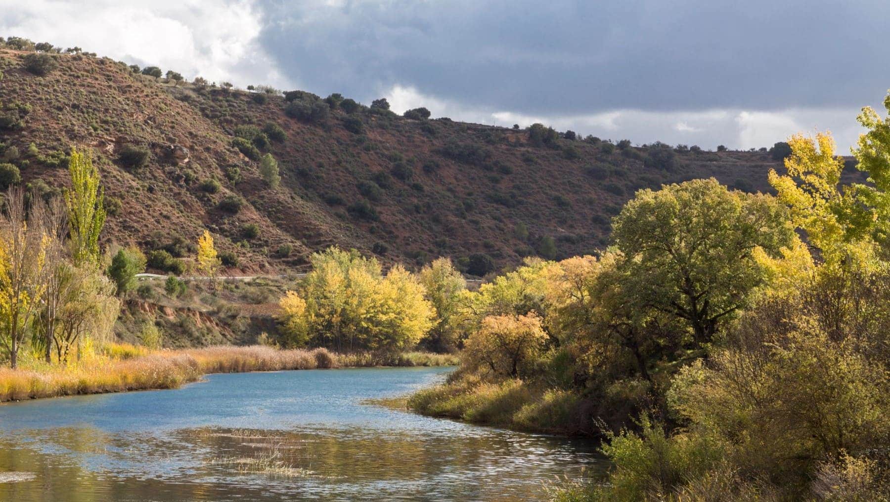 La Campana dominio público forestal Castilla-La Mancha