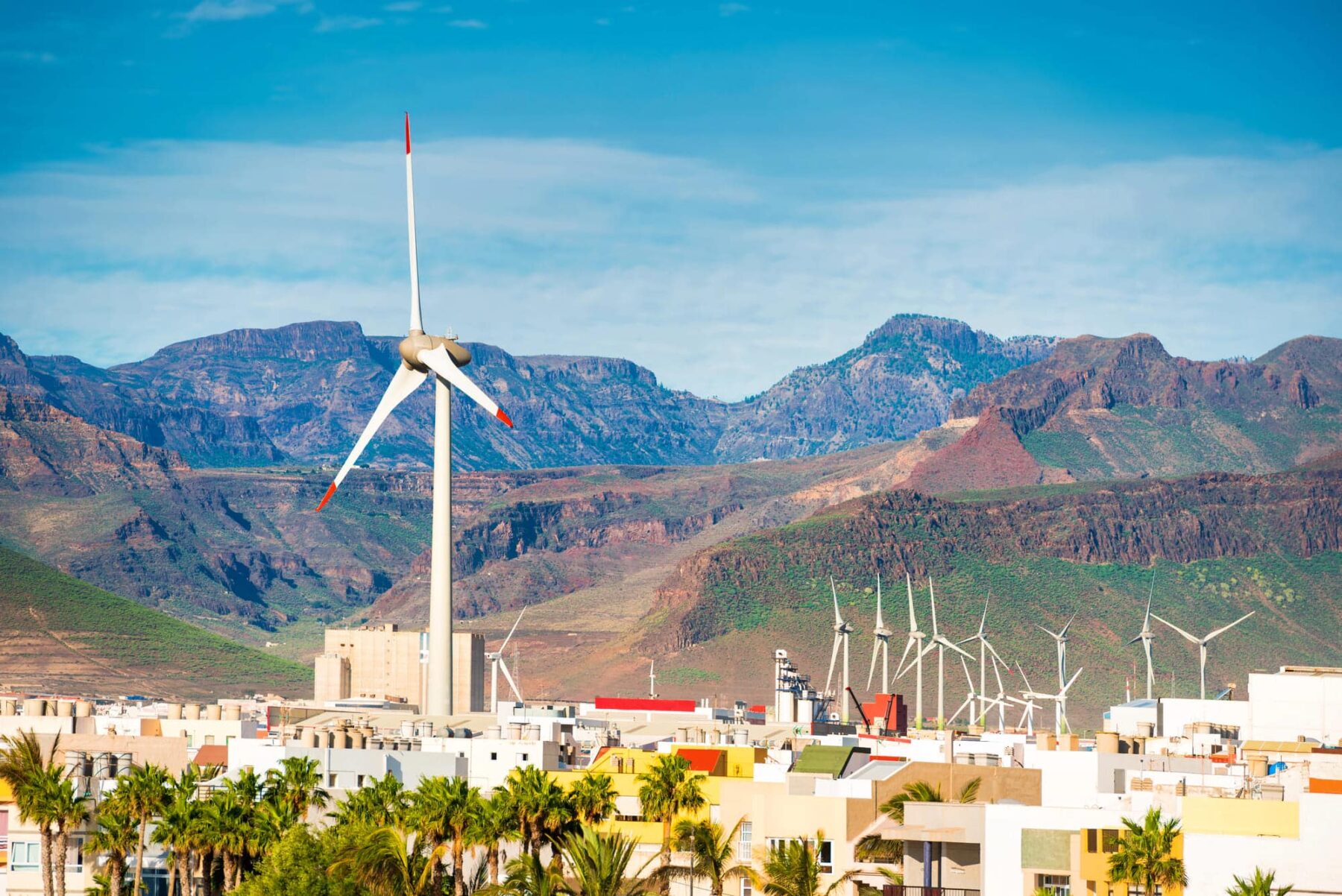 Diversos colectivos Canarias despliegue energías renovables archipiélago caótico