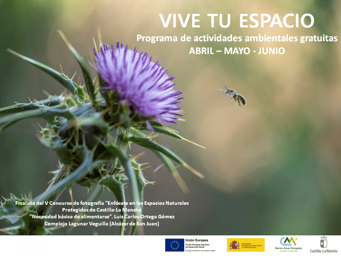 Castilla-La Mancha 40 actividades Programa Primavera Vive tu Espacio