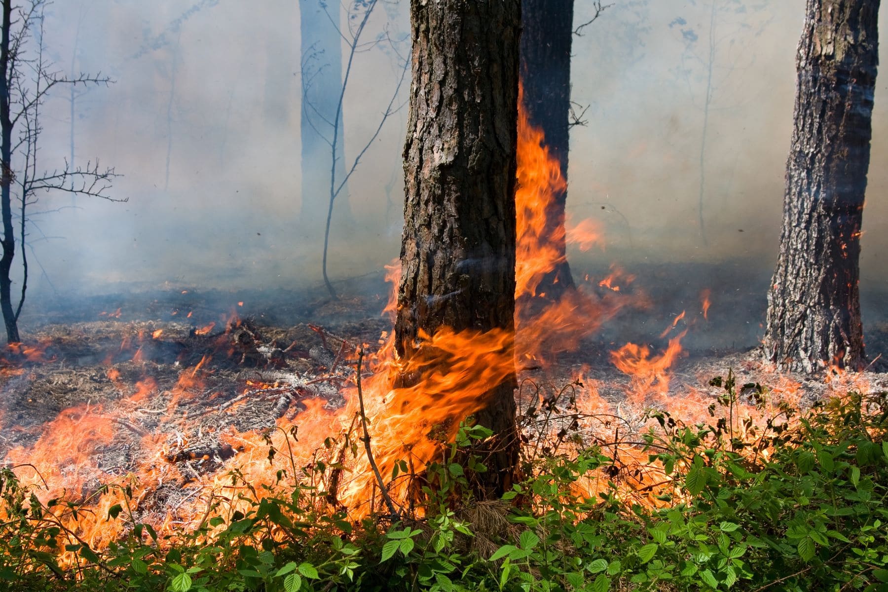 Extremadura Mesa Fuego