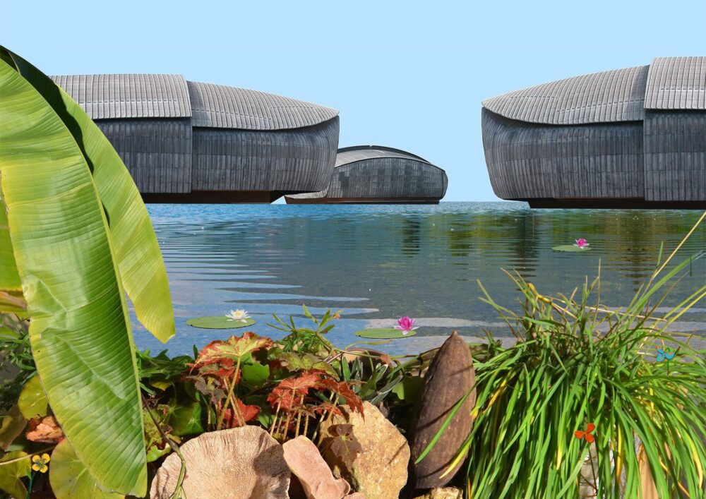 Green and landscape festival. Rethink the cities
