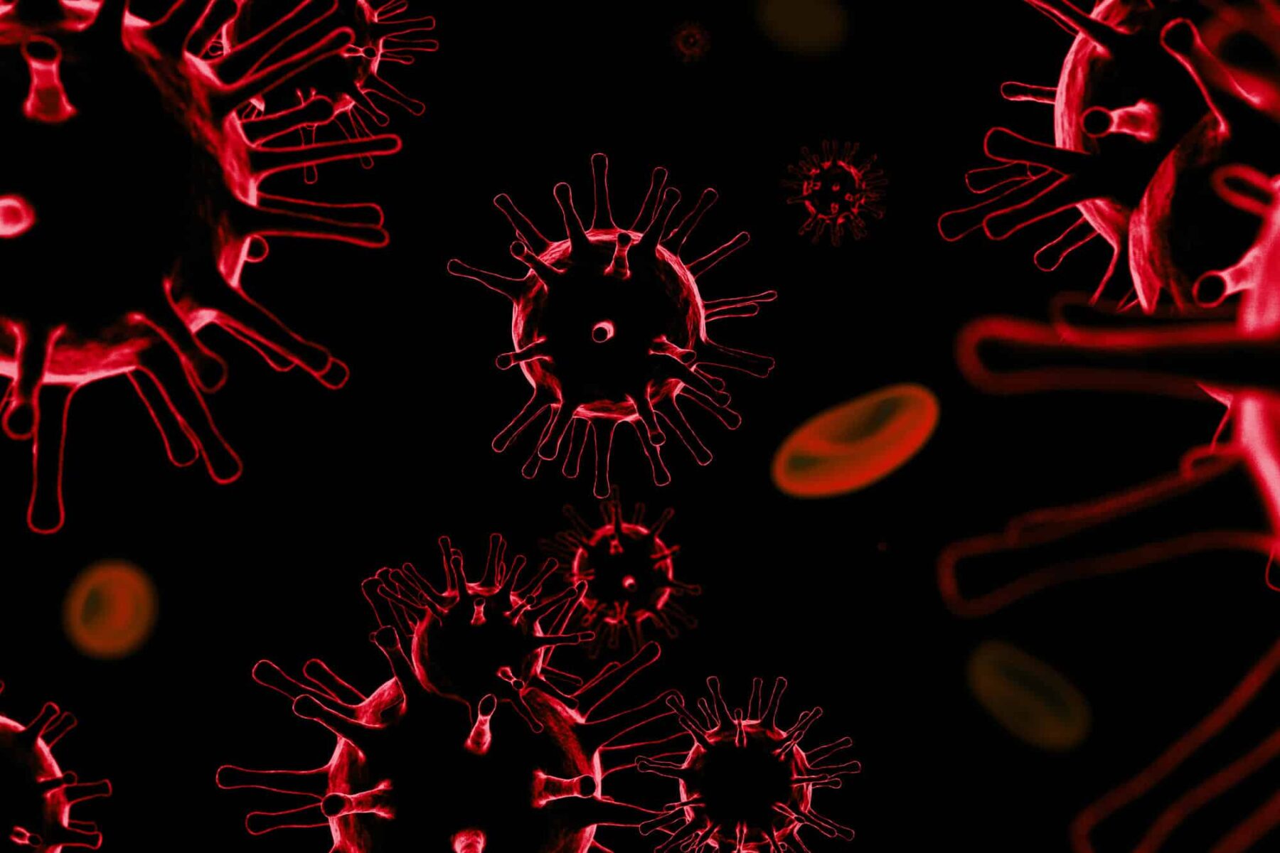 Virus H5N1: la ‘pandemia animal’ de gripe aviar que arrasa con todo