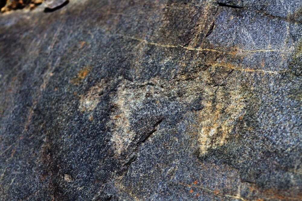 Petroglifi of the Tresero Lace: an archaeological treasure