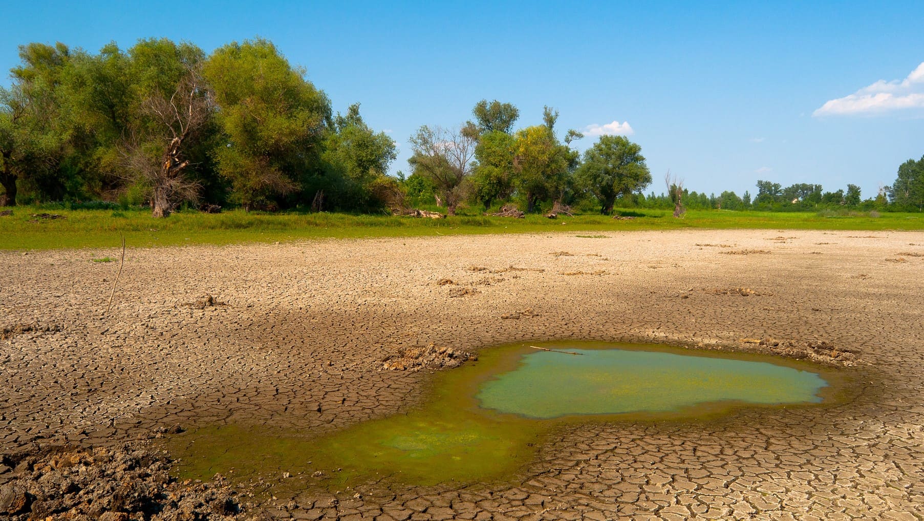 España consecuencias calentamiento global aridez climática