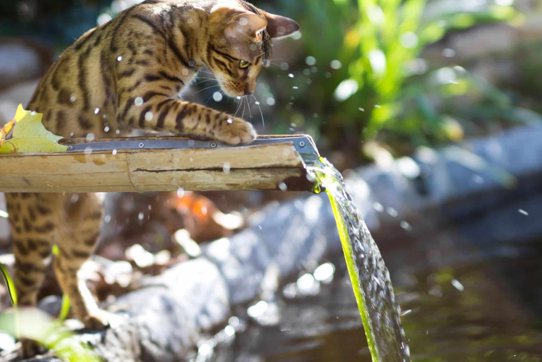 El sistema español de gestión del agua es insostenible