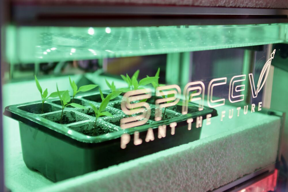 A revolutionary and all -Salian space chases - Il Giornale Dell'ambione