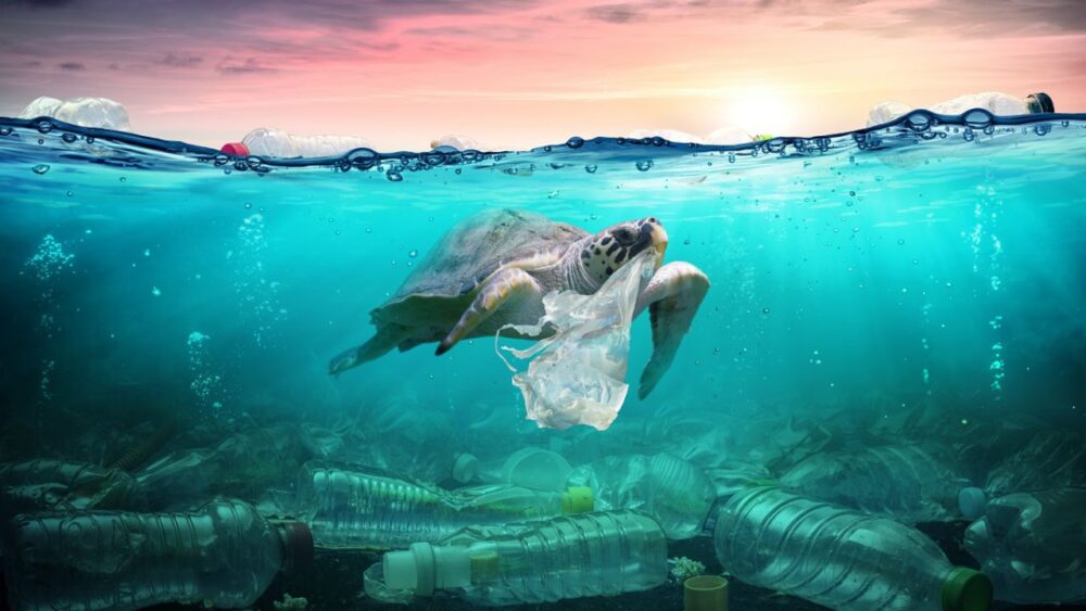 Beach Nest 2025: Legambiente Report on Waste on the Beaches