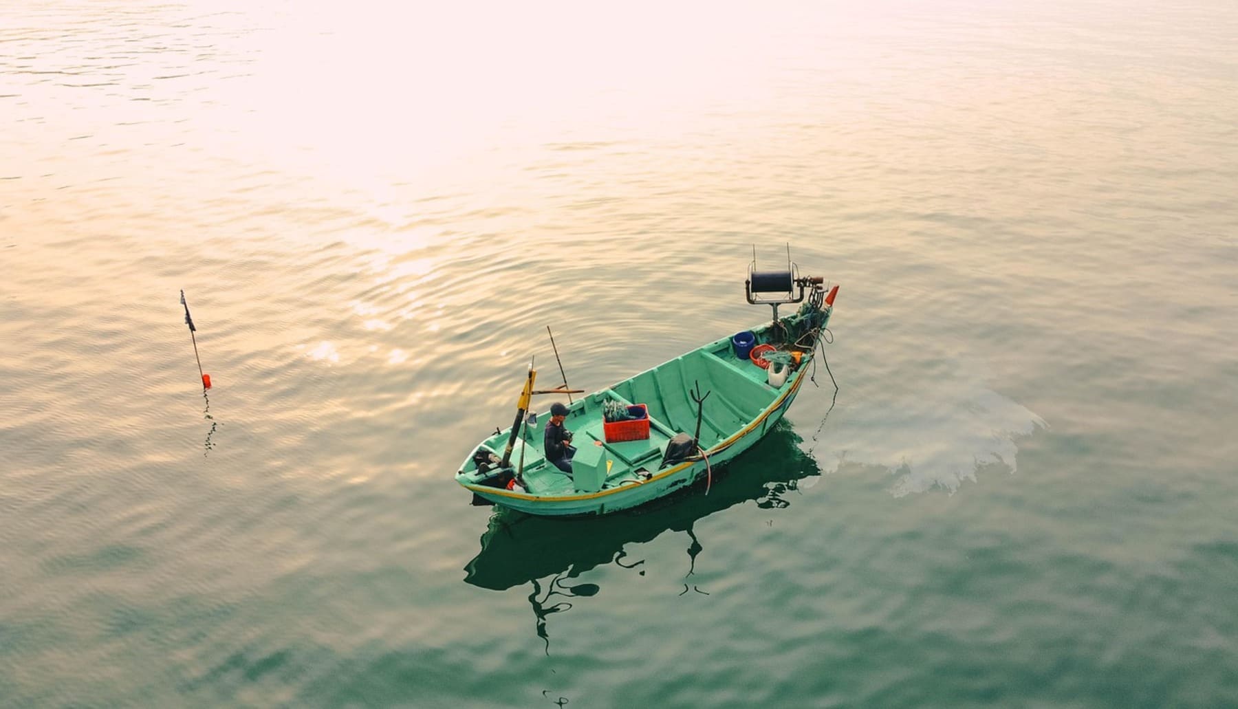 pesca ilegal
