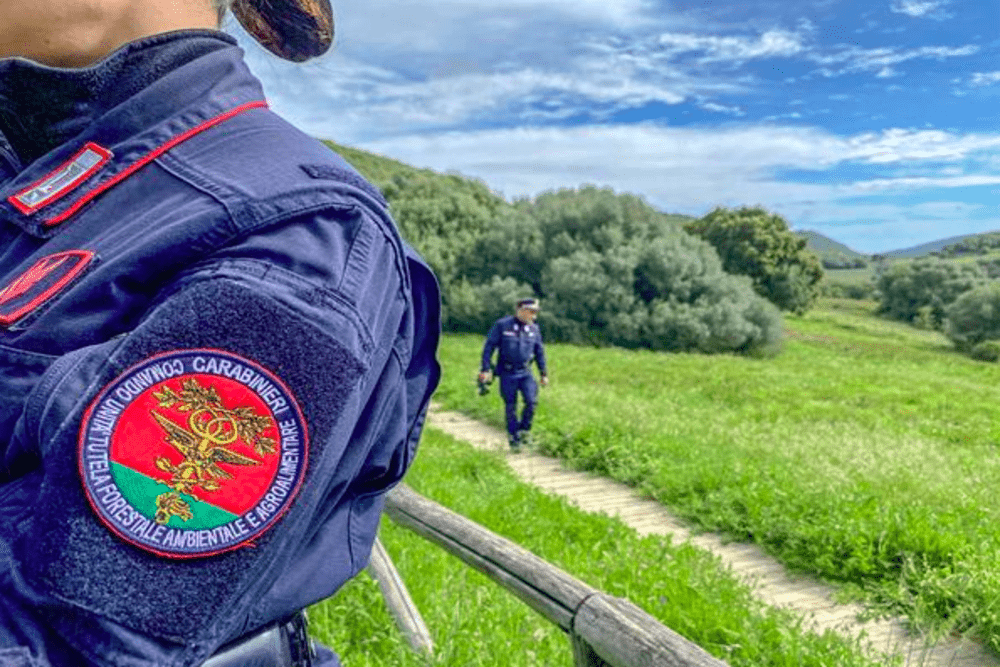 The Cufaa Carabinieri and the protection of the environment. Exchange of experiences between France and Italy