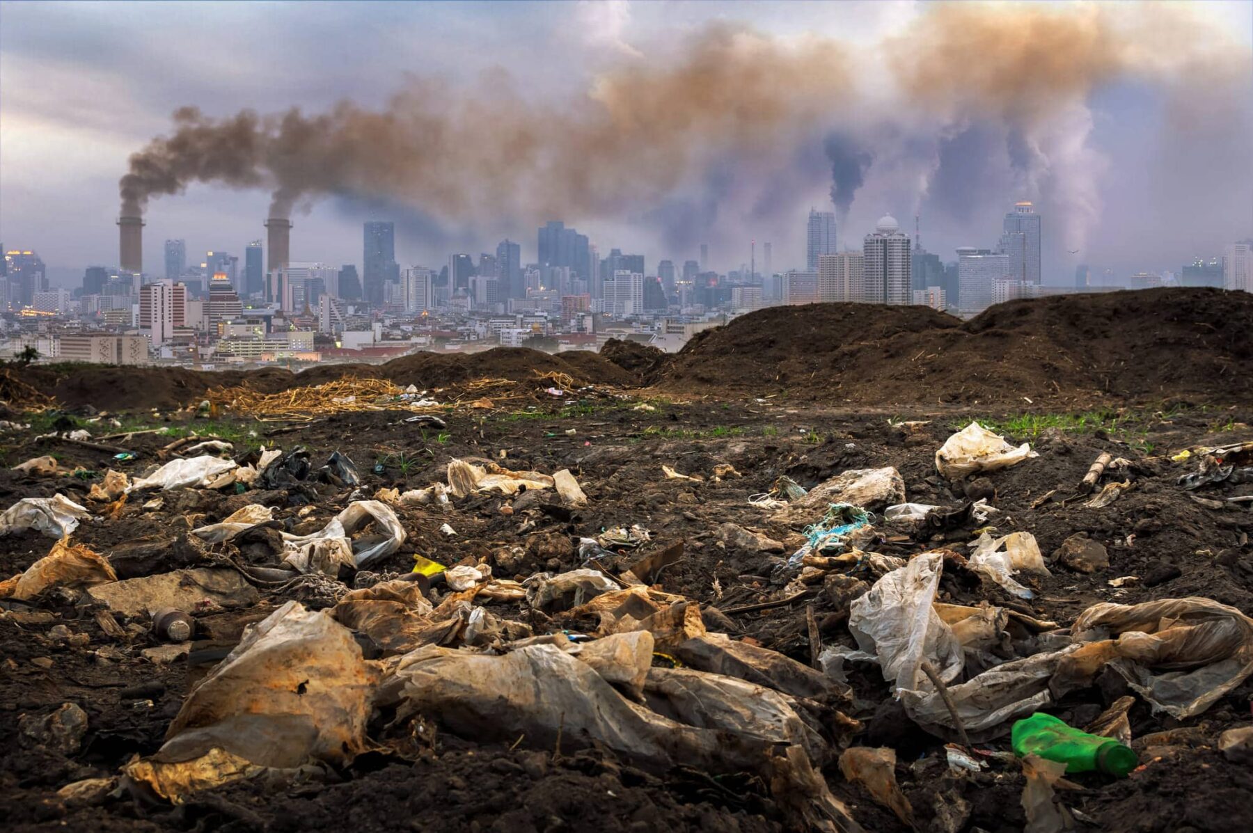 Evitar agresiones medio ambiente