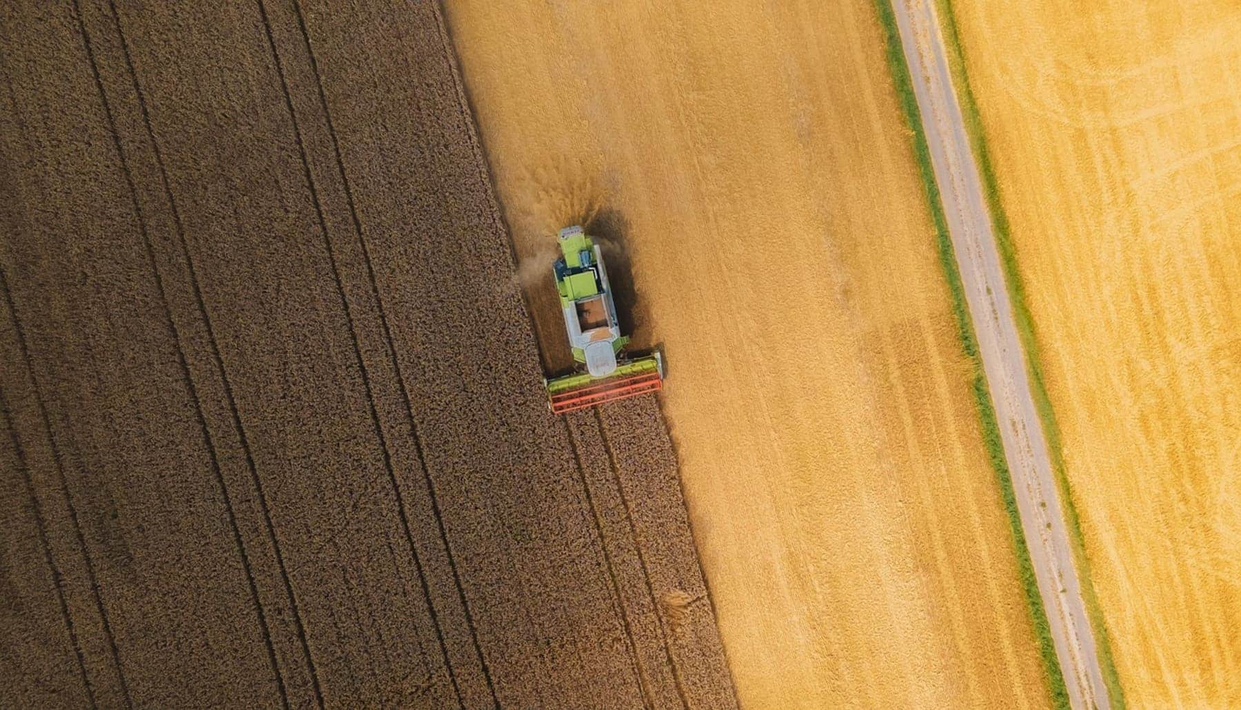 Las ayudas a la agricultura, los combustibles fósiles, la pesca y la minería suponen una amenaza real para la biodiversidad del Planeta