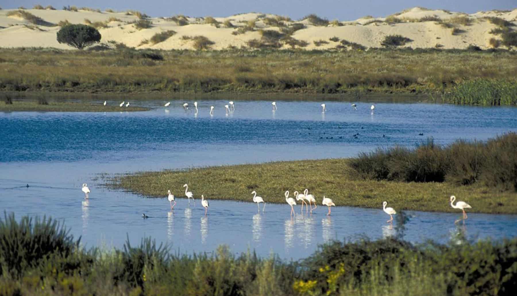 Andalucia humedales