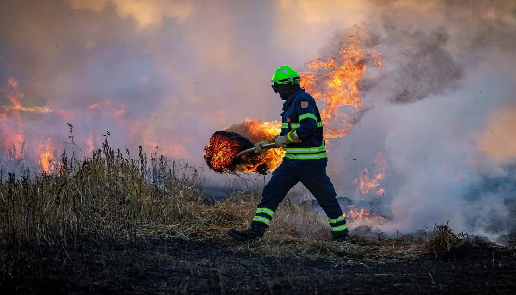incendios forestales en el mundo