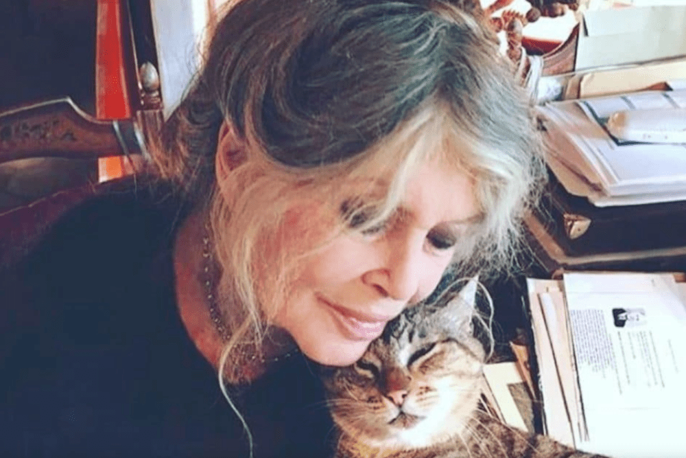 Brigitte Bardot receives the "Riccia d'Oro" award