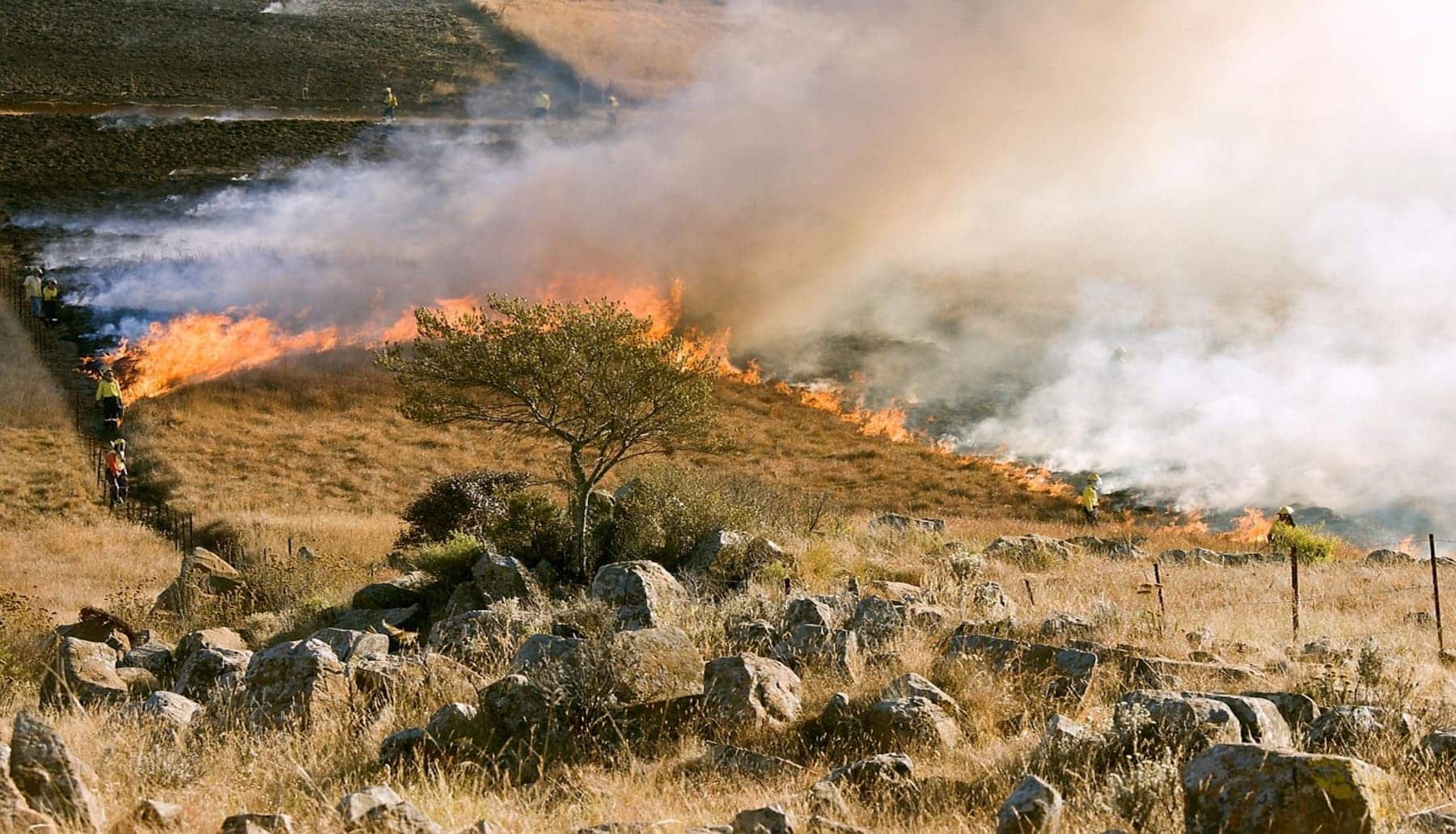 incendios forestales