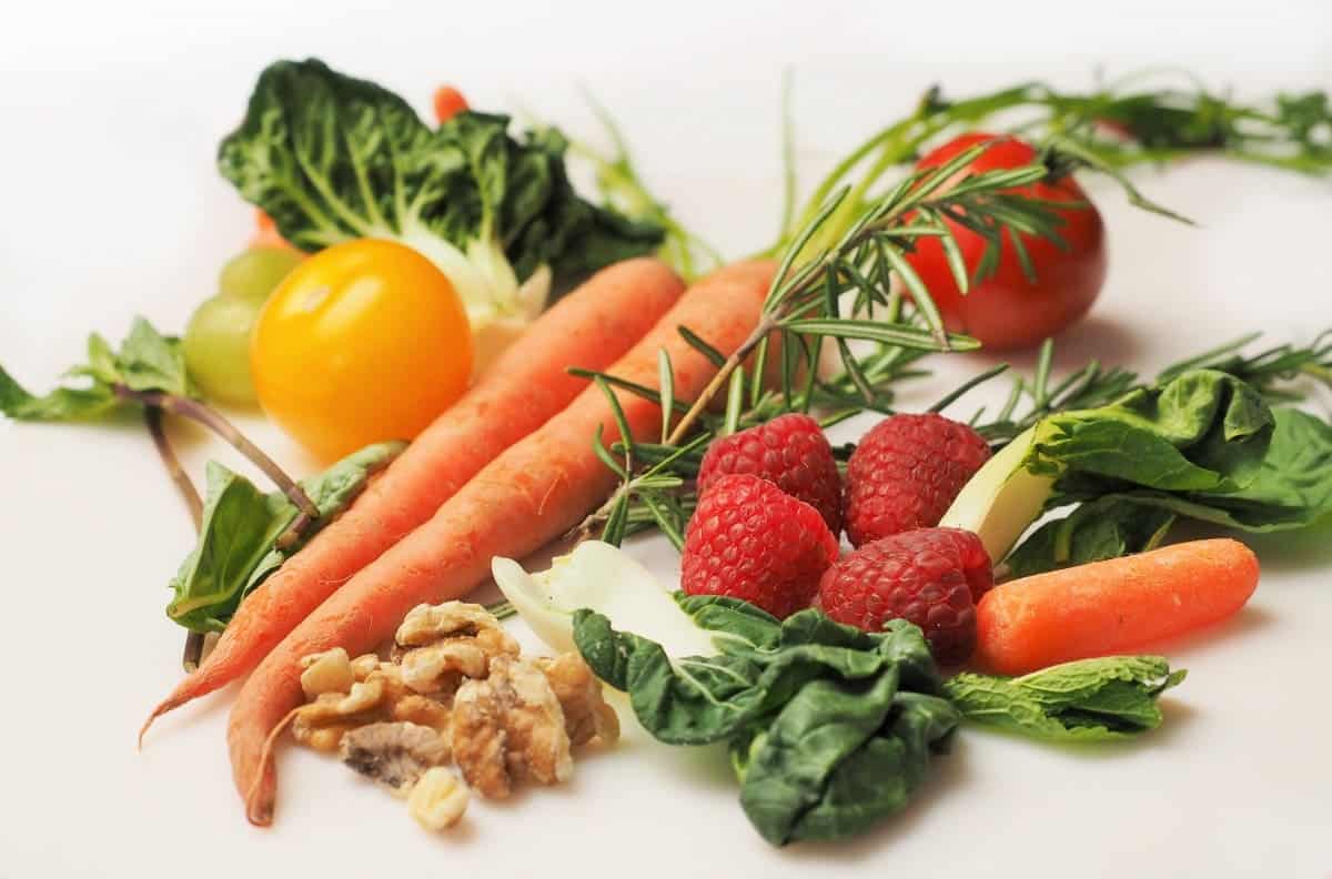 Día Internacional Sanidad Vegetal 2025