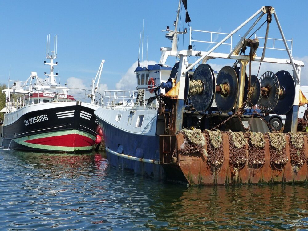 NGO turns France, Germany and Italy to the European Commission for violations in protected marine areas