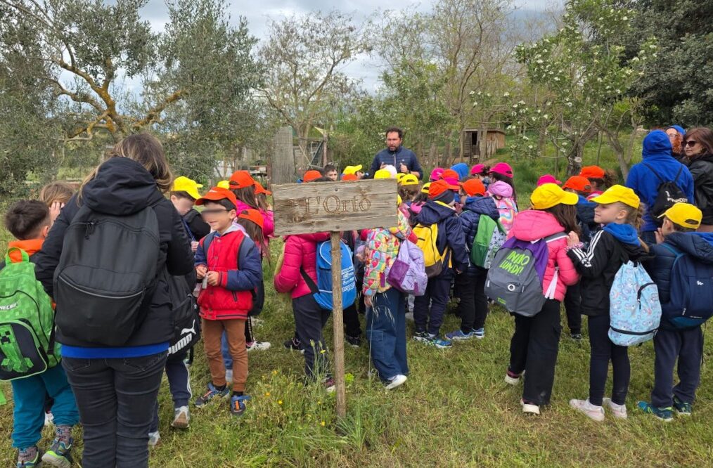 Puglia, environmental education between hive and fertile land