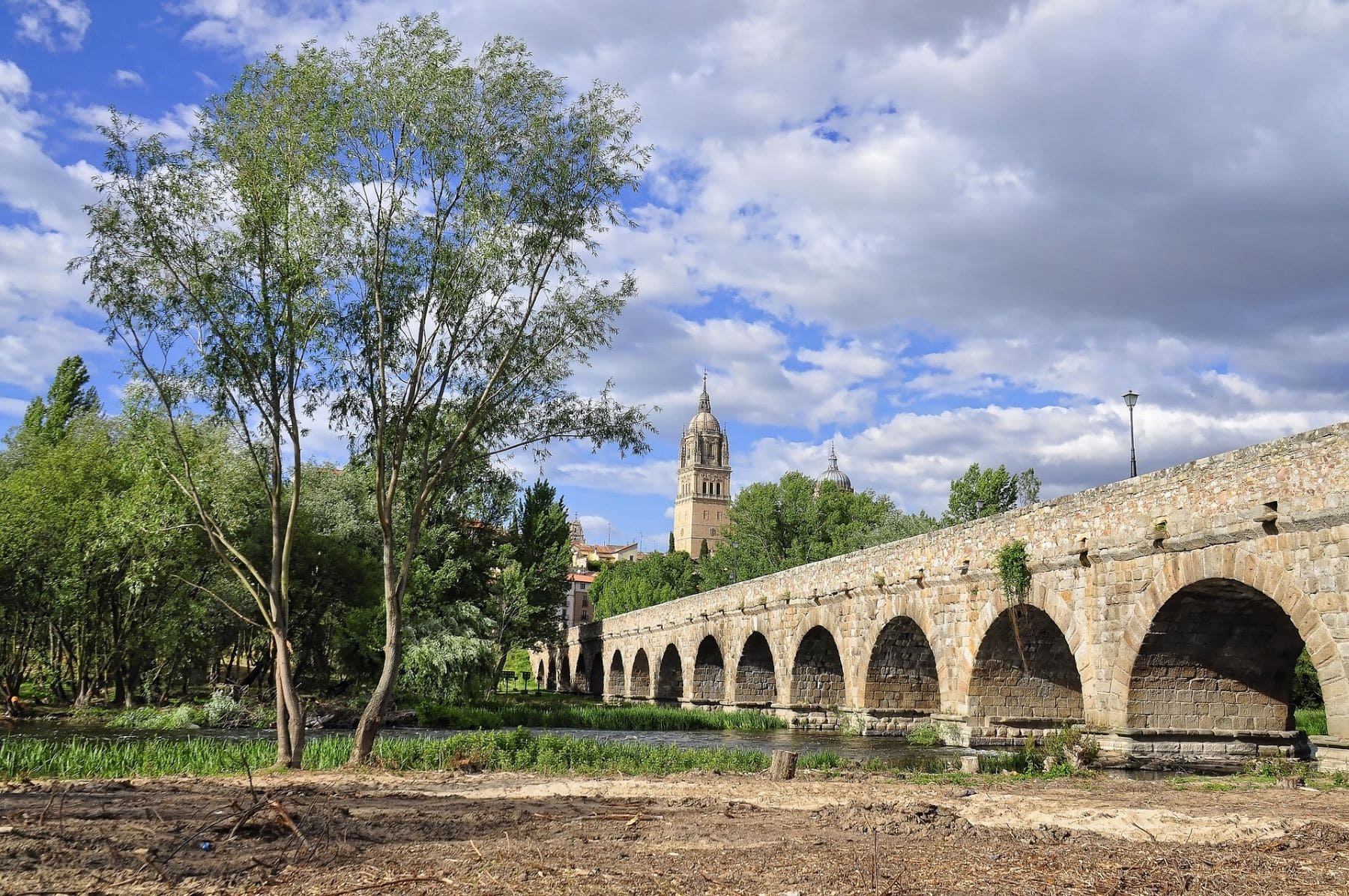 salamanca arboles ciudad verde