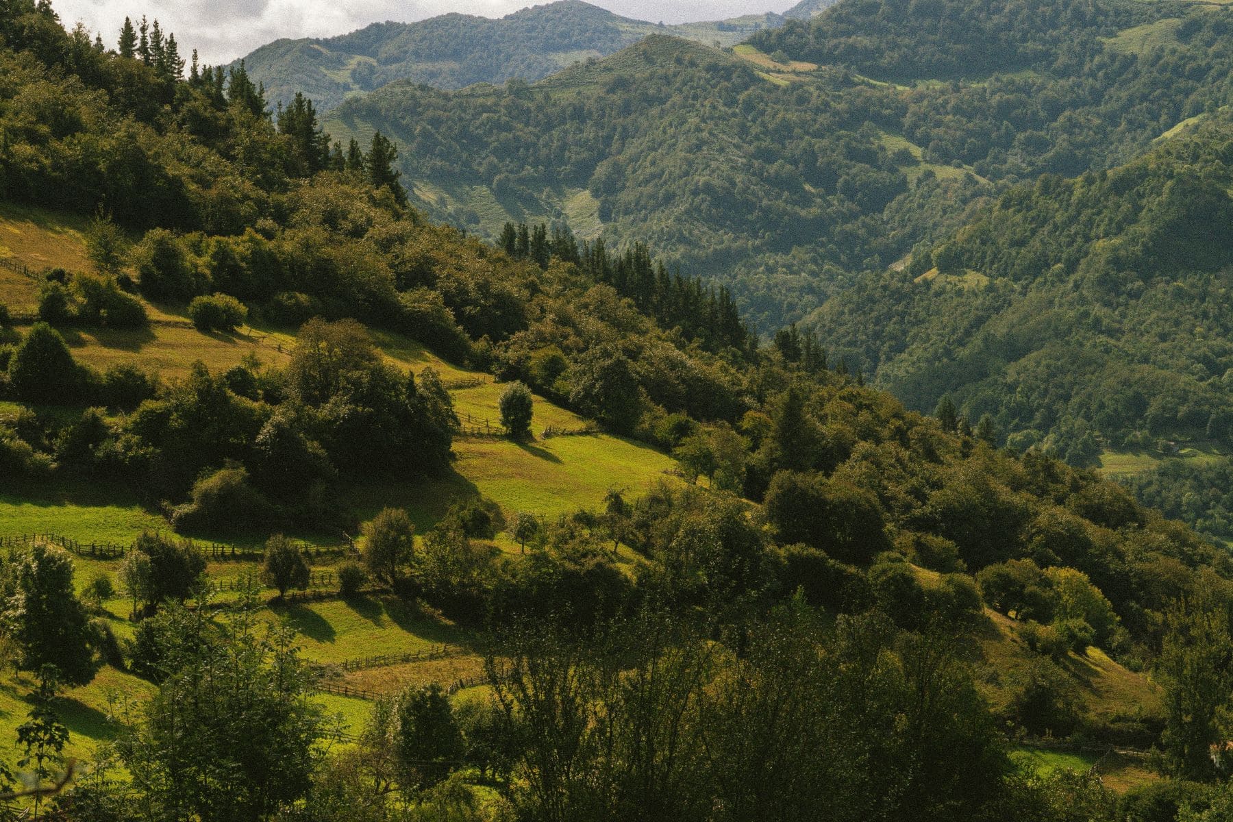 Reserva Ecoturista España Verde Asturias