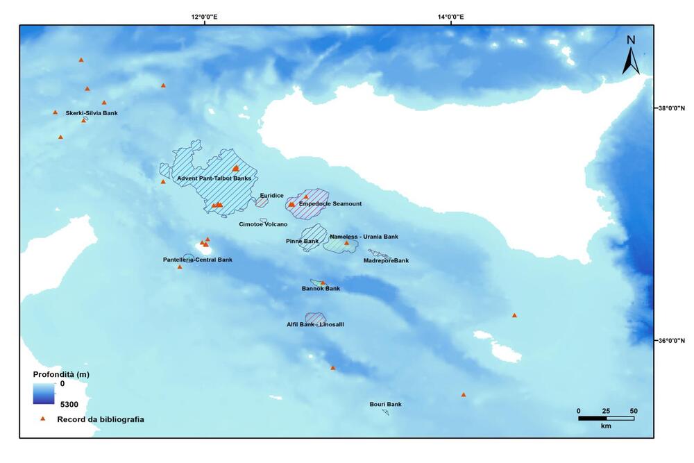 The "Nautilus" of ISPRA investigates the depths of the Mediterranean - Il Giornale Dell'abbio