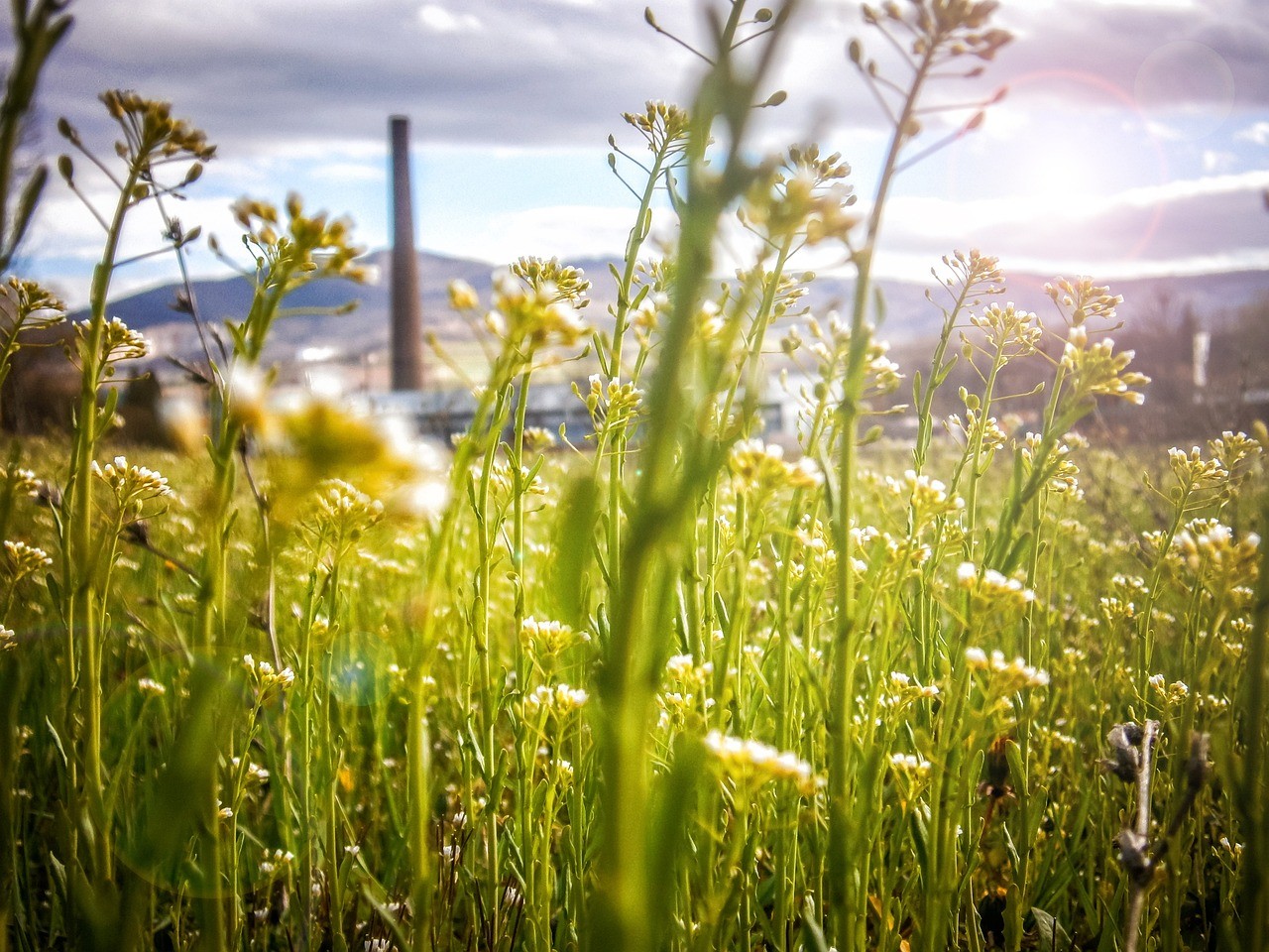The Sustainable Development Prize 2025 is back