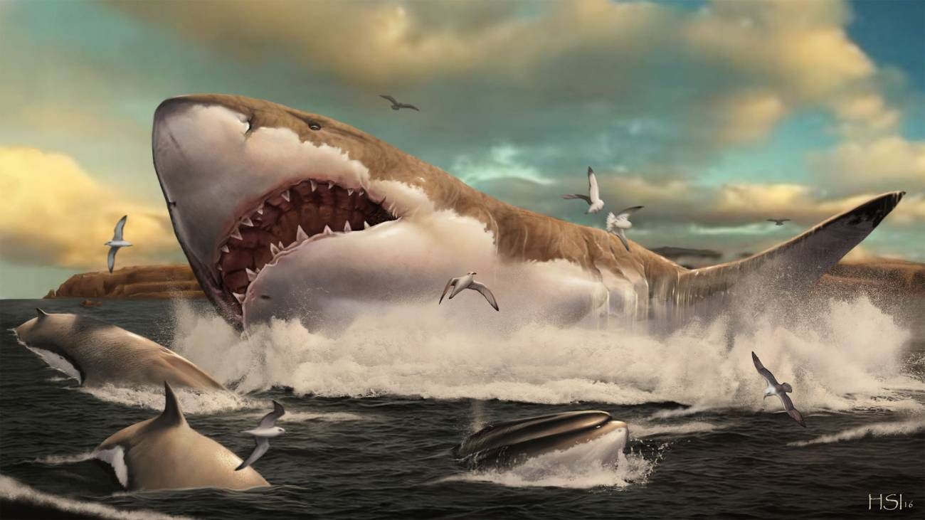 megalodón tiburón gigante