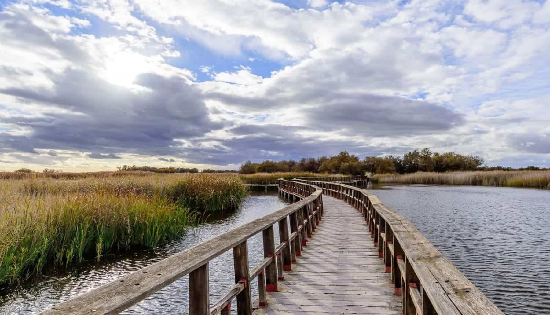 Tablas de Daimiel