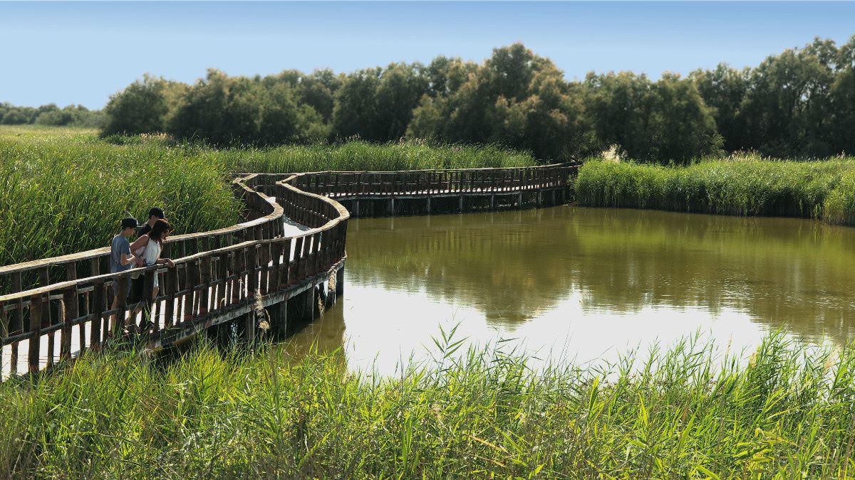lluvias Parque Tablas Daimiel