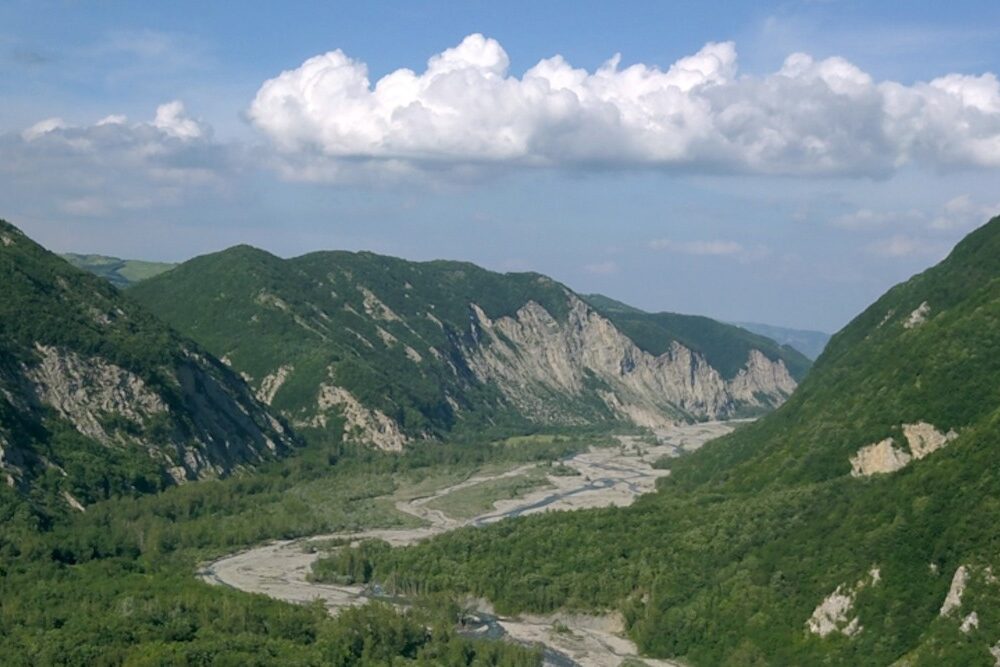 Apennine park, sustainability credits to protect the woods - Il Giornale dell'Ambione