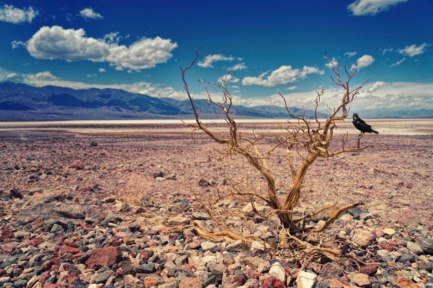 Orr Desertificación ONU atajar degradación