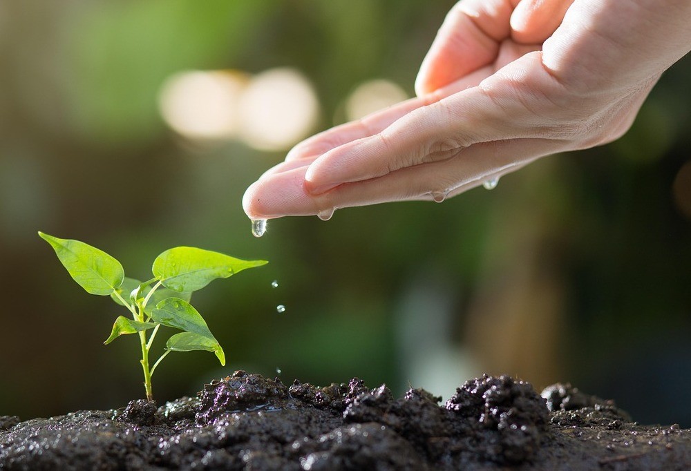 Eco -anxiety as an engine of change: Italians more attentive to food and less wash - Il Giornale dell'Ambione
