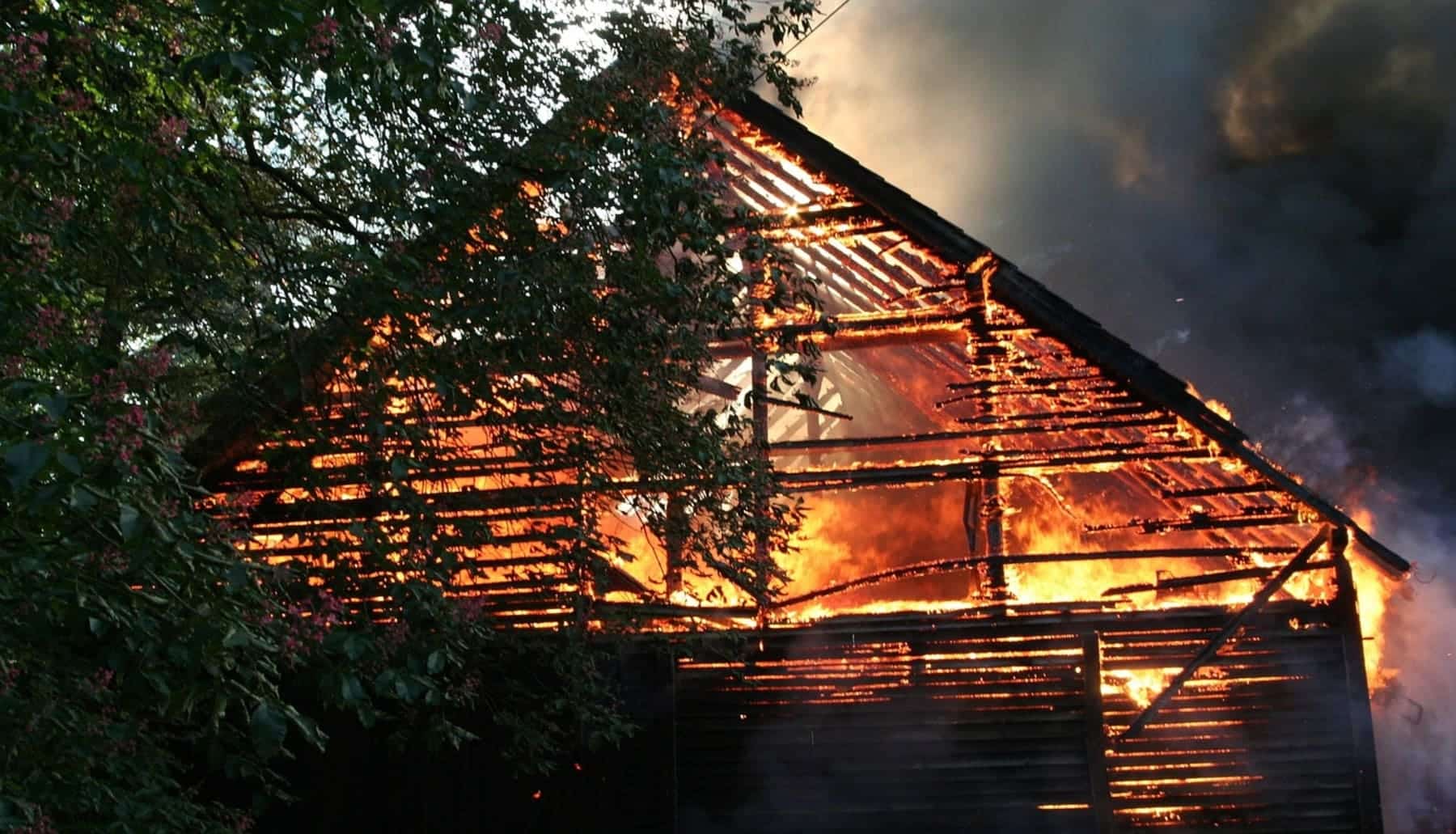Incendios forestales: todo lo que deberías saber sobre ellos, en este artículo te lo explicamos