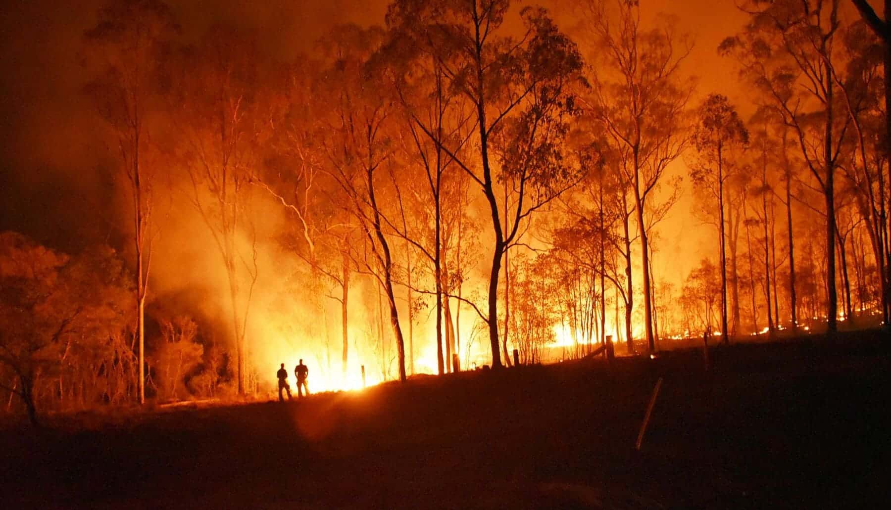 Los incendios forestales en España han experimentado un notable descenso en lo que va de año con respecto a hace una década