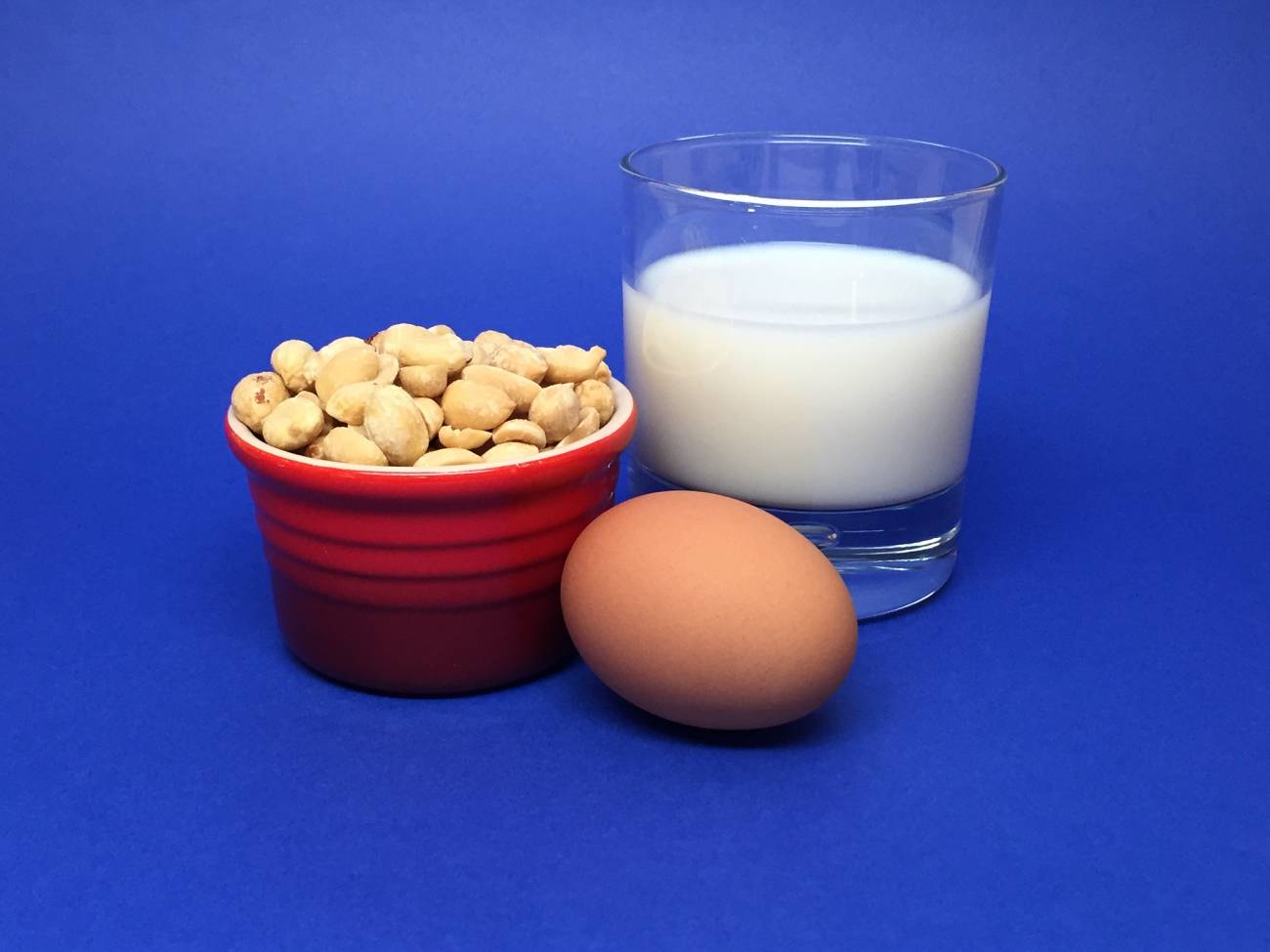 Cacahuetes huevos leche veneno alergias alimentarias