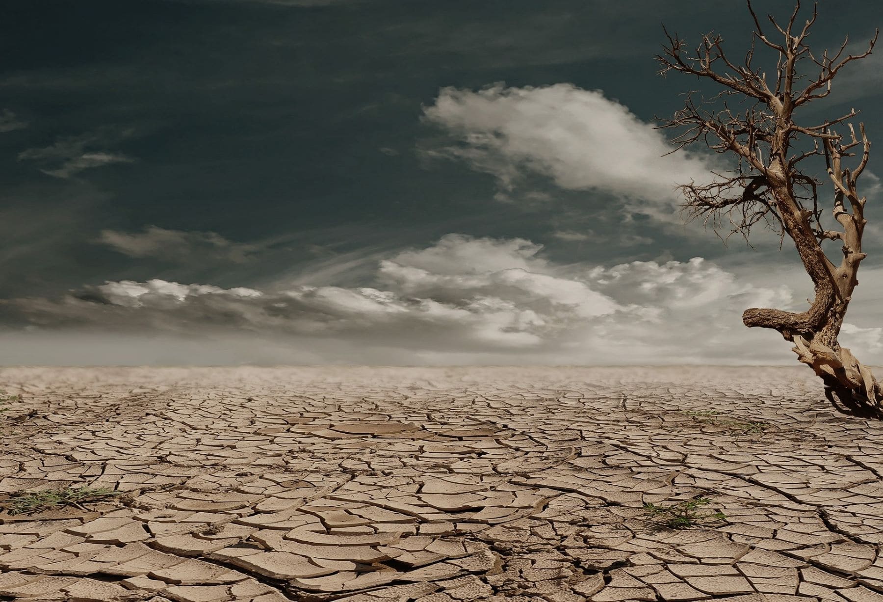 Podemos Alianza Verde políticas medioambientales