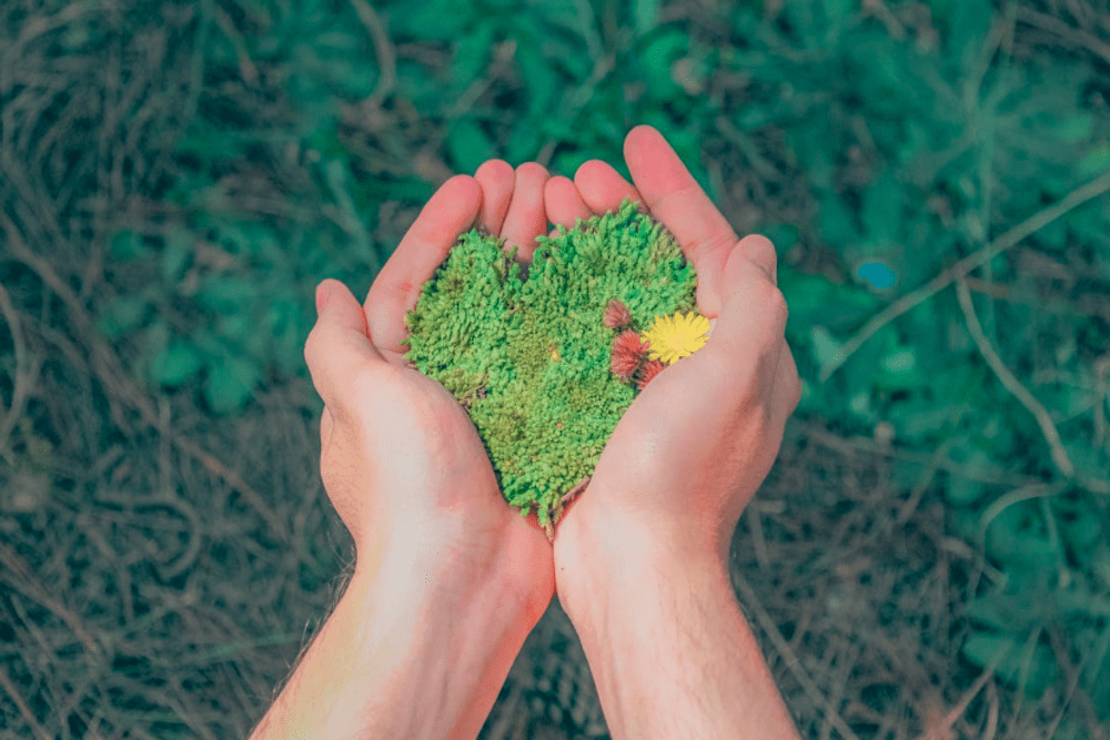 Sustainable thinking: a lecture to change the present