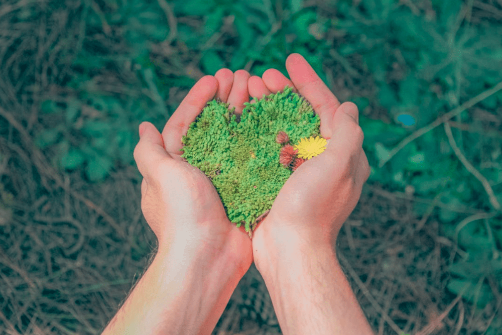 The master in sustainability management for the leaders of the future is born