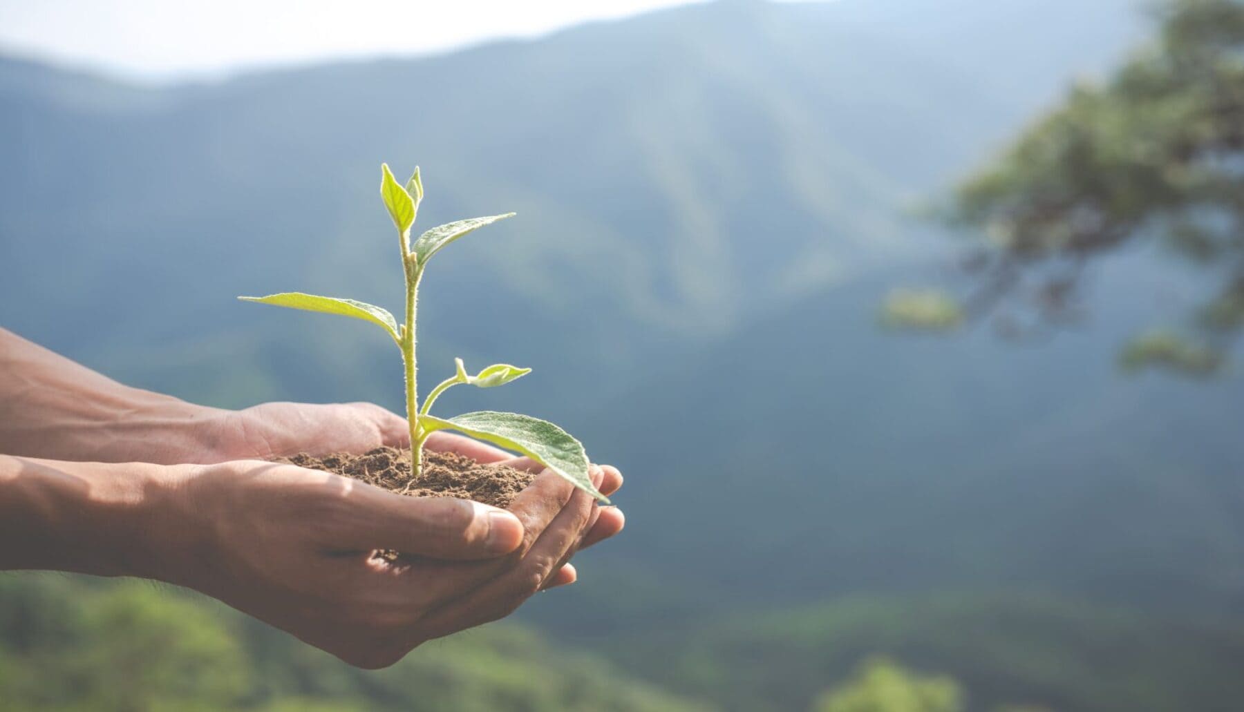 ¿Por qué no se ejecutan las leyes climáticas y de biodiversidad con más rigor