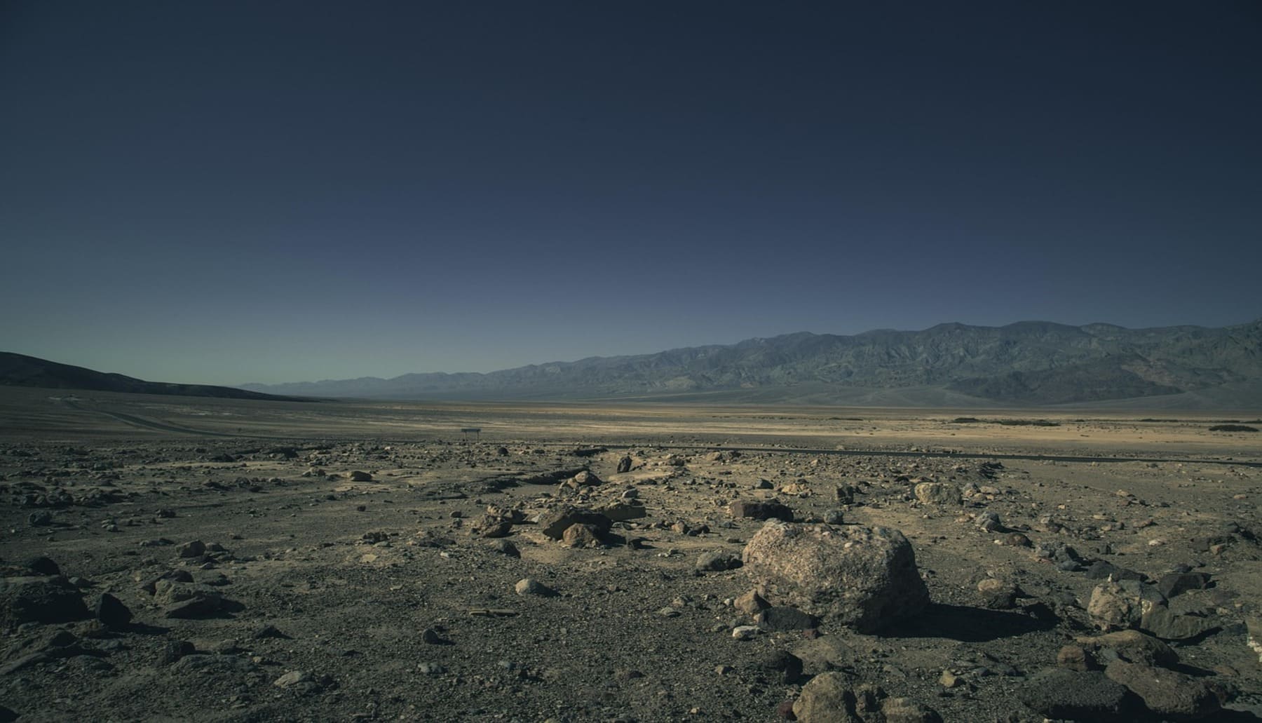 Día Mundial de Lucha contra la Desertificación y la Sequía 2025 las plantas que 'generan' agua en el desierto